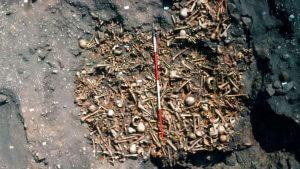 Mysterious Mass Grave In England Could Be Filled With The Viking Great Army's War Dead 35