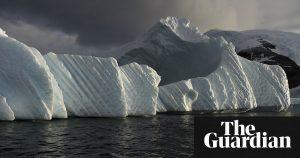 Decline in krill threatens Antarctic wildlife, from whales to penguins 19