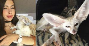 Psycho Blogger Made Her Pet Fox Go Vegan And The Internet is Enraged 5