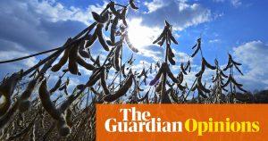 The best way to save the planet? Drop meat and dairy | George Monbiot 54