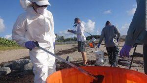 Red tide spreads to Florida's east coast, shuttering some Miami-Dade beaches 5