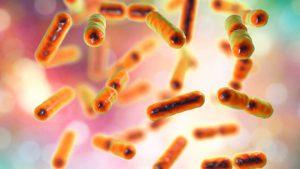 The Composition Of Your Gut Microbiome May Give Away Your Age, Says New Study 31