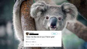 People Are Still Talking About "The World's Sexiest Koala" 56