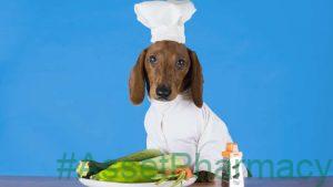 A Worrying Number Of Vegans Make Their Pets Eat A Vegan Diet 53