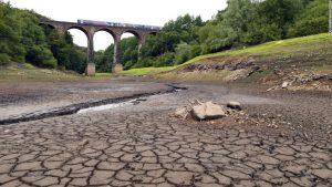 Future summers will 'smash' temperature records every year 29