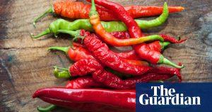 What can I use instead of chillies? | Kitchen Aide 49