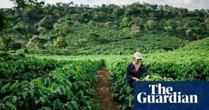 $1m a minute: the farming subsidies destroying the world - report 15