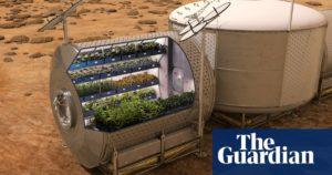 Space-grown lettuce to give astronauts a more varied diet 24